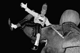 Elephant
