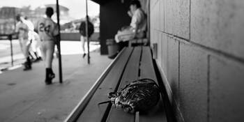 Dugout_half_moon_bay_high_school