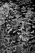Somesville_pond_no_1