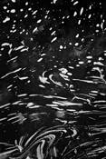 Somesville_pond_no_9