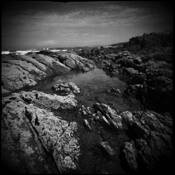 Holga_impressions_10