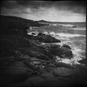 Holga_impressions_3