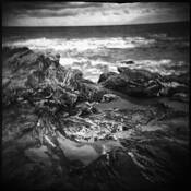 Holga_impressions_6