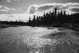 The_road_less_travelled