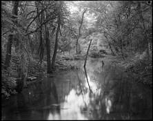 Reclamation