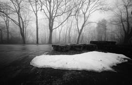 Fog_6