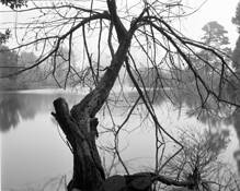 Stow_lake_1
