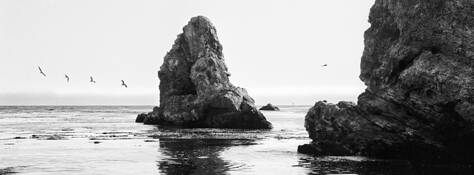 Evening_flight__pismo_beach