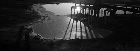 Salt_marsh_ruin