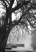 Punderson_4