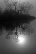 Punderson_6