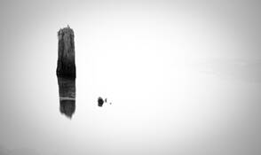 Quiet_reflection
