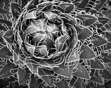 Untitled_4