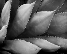 Untitled_5
