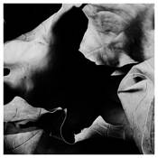 After_the_fall__33