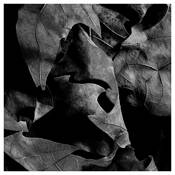 After_the_fall_22