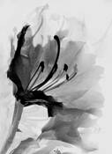 Untitled_10