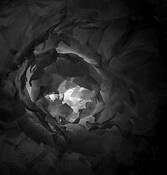 Untitled_6