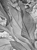 Untitled_8