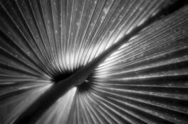 Untitled_3