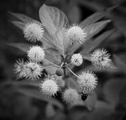 Untitled_4