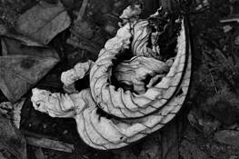 Untitled_2