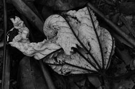 Untitled_3