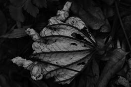 Untitled_7