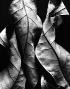Untitled_3