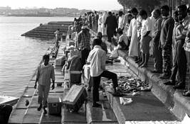 Fish_market_3