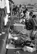 Fish_market_4