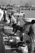 Fish_market_6