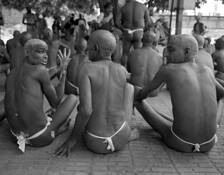 Novices