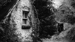 Homestead