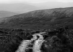 The_long_lonely_road