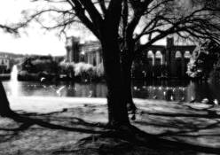 Palace_of_fine_arts