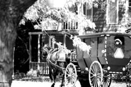 Amish_boy_on_the_way_home
