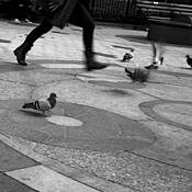 Running