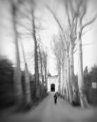 Wayfarer