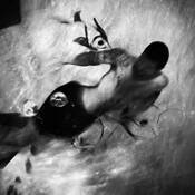 Untitled_9