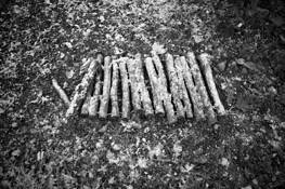 Transitory_4