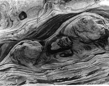 Pt__lobos_tide_pool