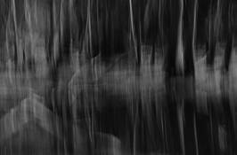 Swamp_wade_4
