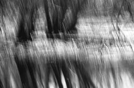 Swamp_wade_9