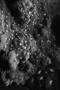 Untitled_7
