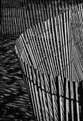 Fence_line_11