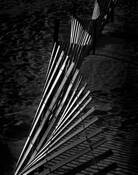 Fence_line_3