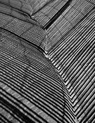 Fence_line_4