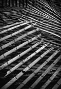 Fence_line_8