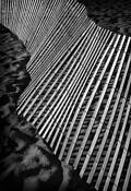 Fence_line_9